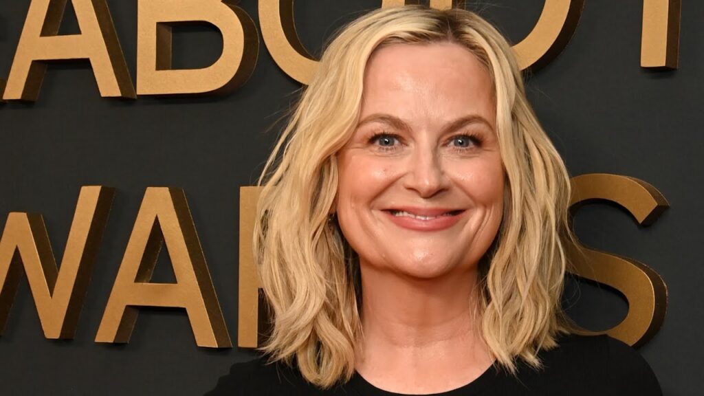 Amy Poehler Got Into a Fight on a Plane for Swearing Near a Baby