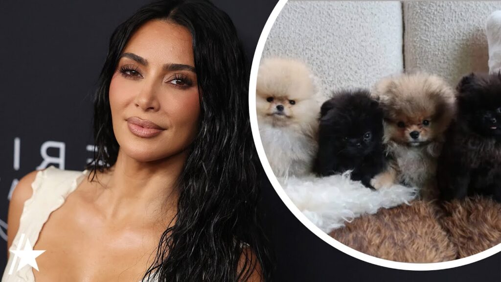 Kim Kardashian Faces Backlash By PETA for Gifting 4 Kids Their Own Puppy for Christmas Kim Kardashian Faces Backlash By PETA for Gifting 4 Kids Their Own Puppy for Christmas