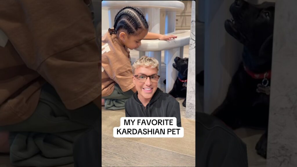 Kim Kardashian’s teacup Persian kitten Mercy as the cutest! #kimkardashian #thekardashians #kanywest