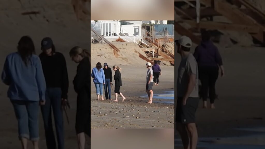 Rob Reiner's kids, Romy and Jake take beach stroll in first photos since parents' murders #shorts