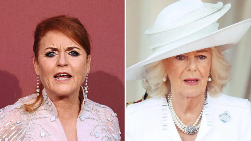 Sarah Ferguson Believes Queen Camilla ‘Owes Her’ Amid Royal Fallout, But She’s Getting ‘Silence’ Yahoo entertainment home