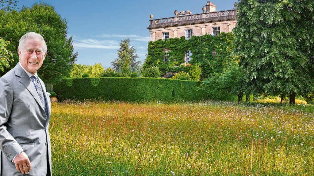 How to save our wildflower meadows, by Prince Charles