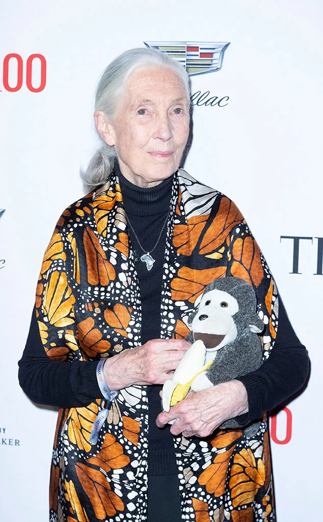 <p>Jane Goodall</p>