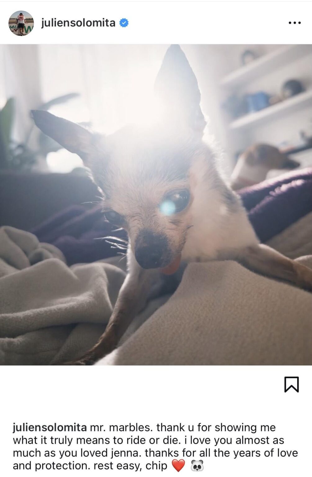 Marbles, Jenna Marbles & Julien Solomita’s iconic dog, has passed away ❤️
