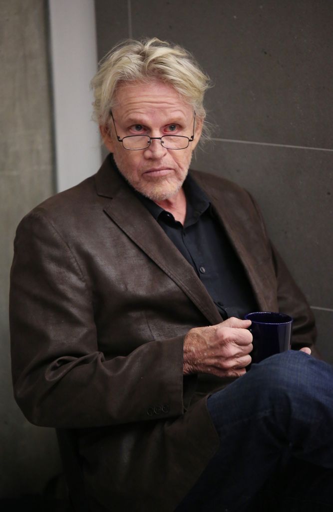 gary busey