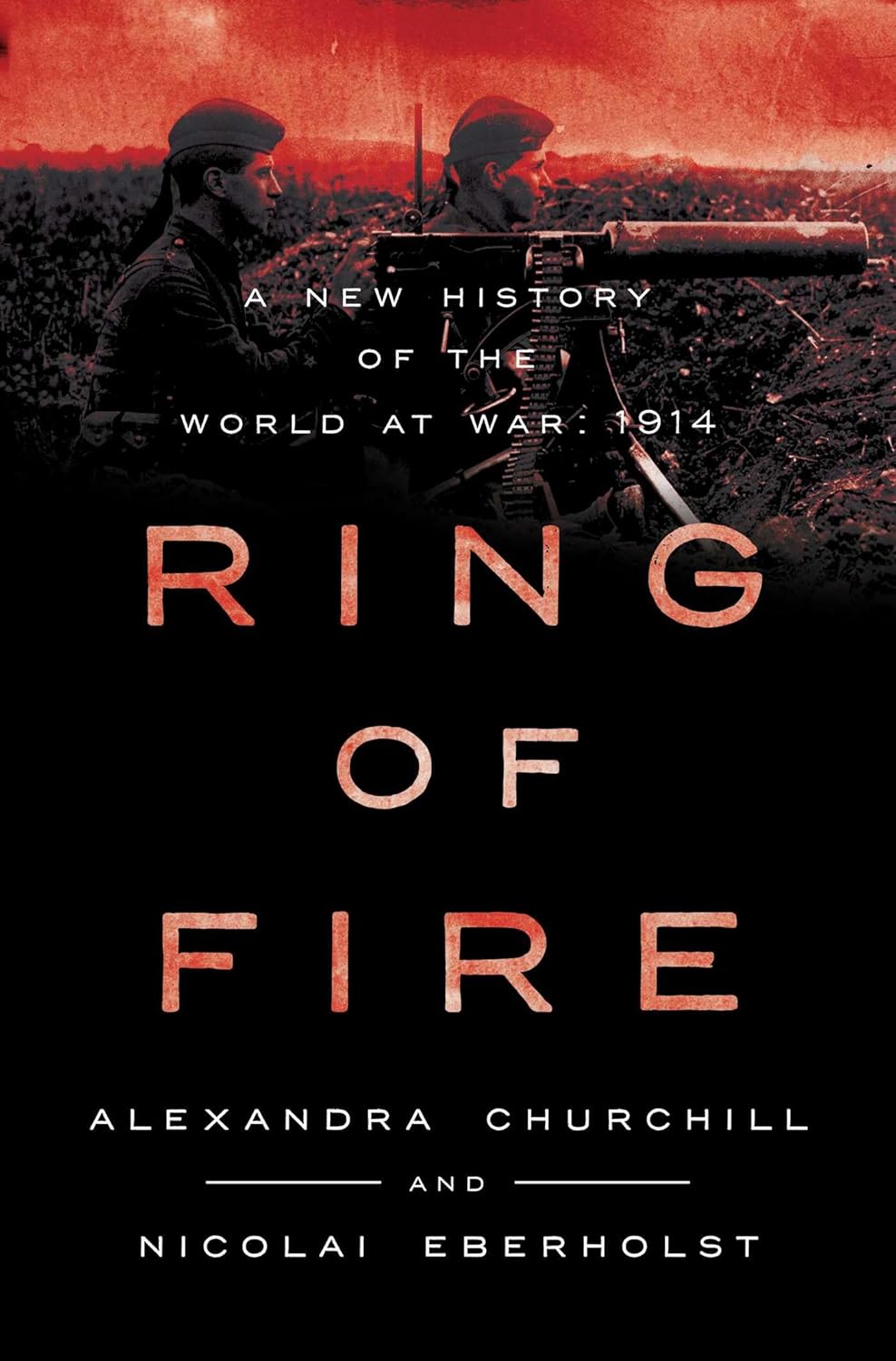 Book cover for 