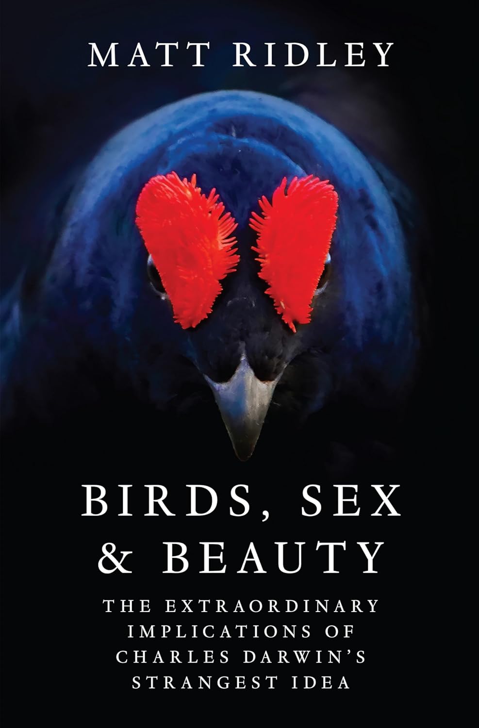Book cover showing a bird with bright red facial features on a dark background, titled 