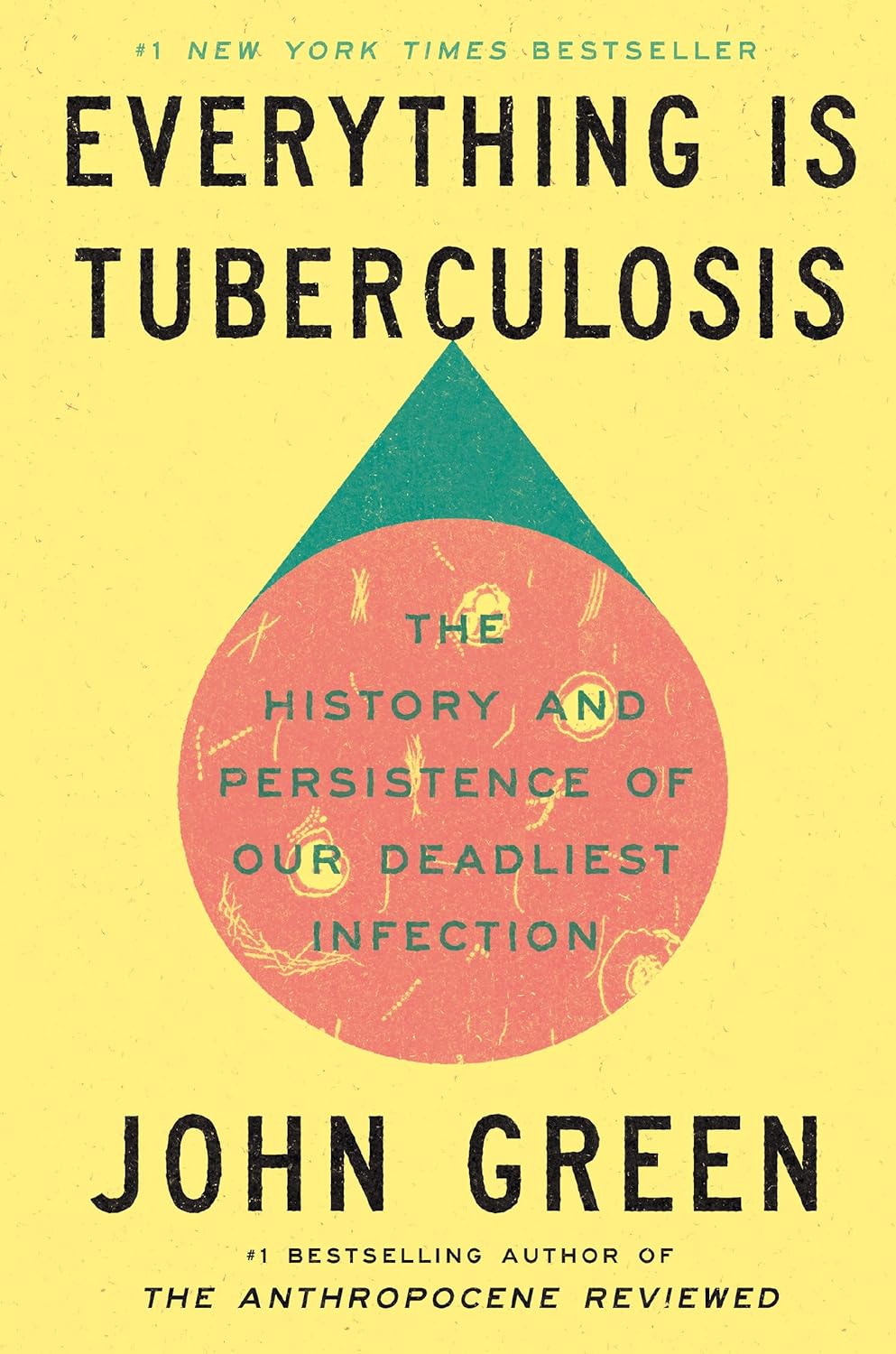Book cover for 