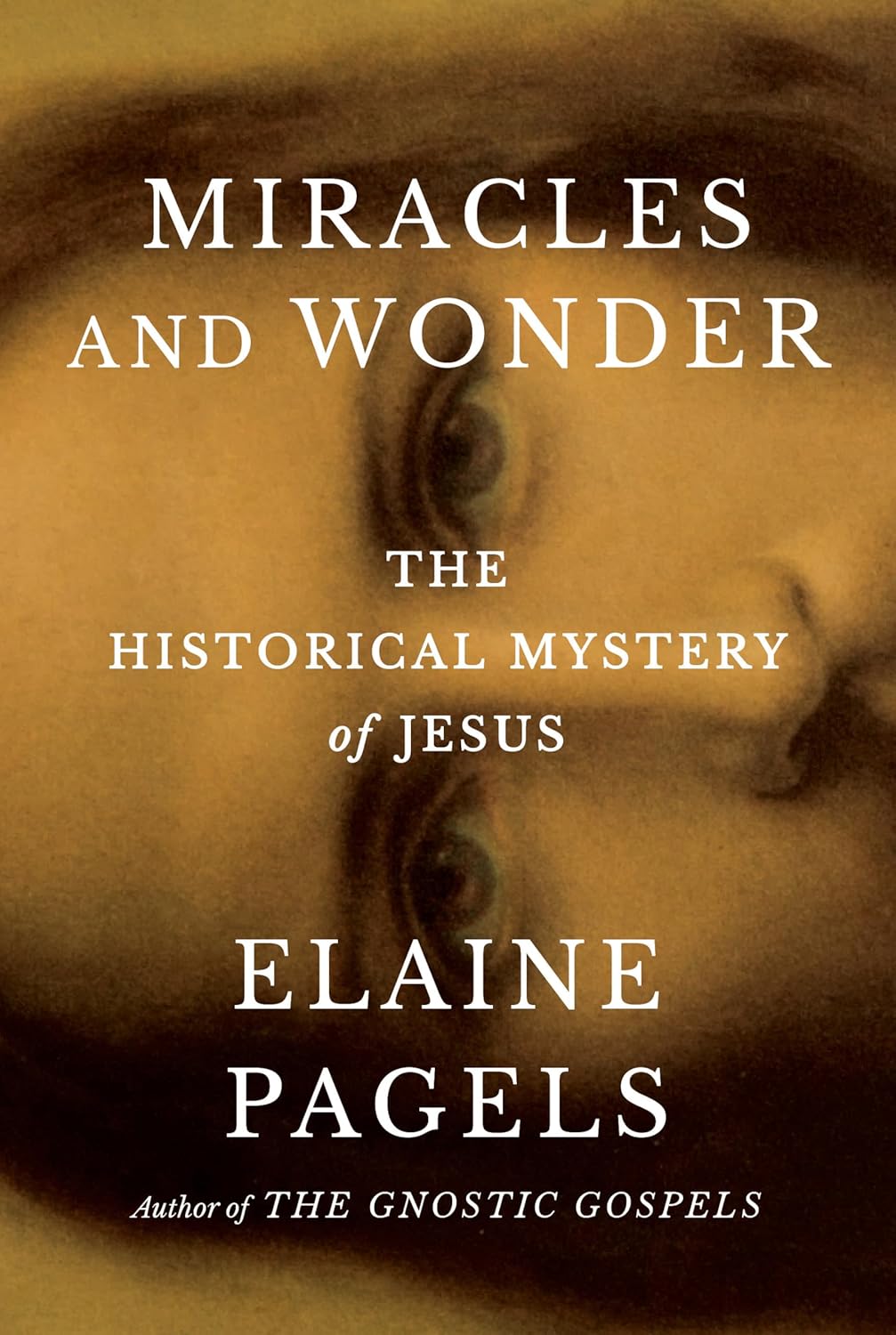 Book cover for 