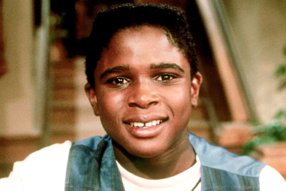 ABC/Courtesy Everett Collection Darius McCrary on 'Family Matters'