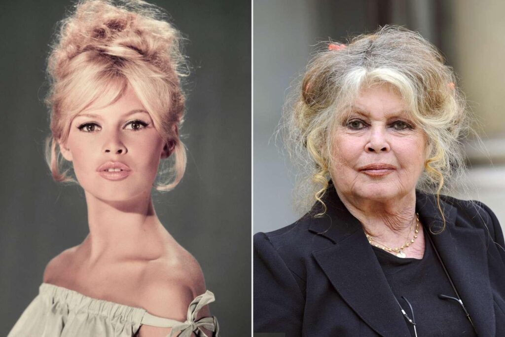 Brigitte Bardot's Biggest Scandals: How the Actress' Legacy Became Marred by Controversy