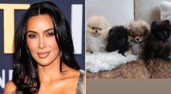 PETA Slams Kim Kardashian for Gifting Puppies to Her Kids for Christmas