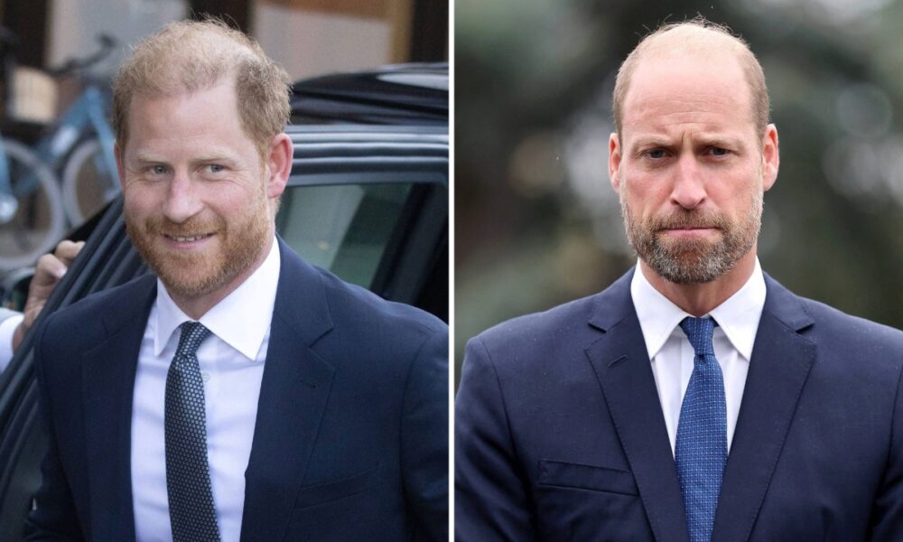 Prince Harry ‘Building’ His Own Royal Court to Rival Prince William’s: ‘He’s Been Playing the Long Game’ – Star Magazine Prince Harry ‘Building’ His Own Royal Court to Rival Prince William’s: ‘He’s Been Playing the Long Game’ – Star Magazine