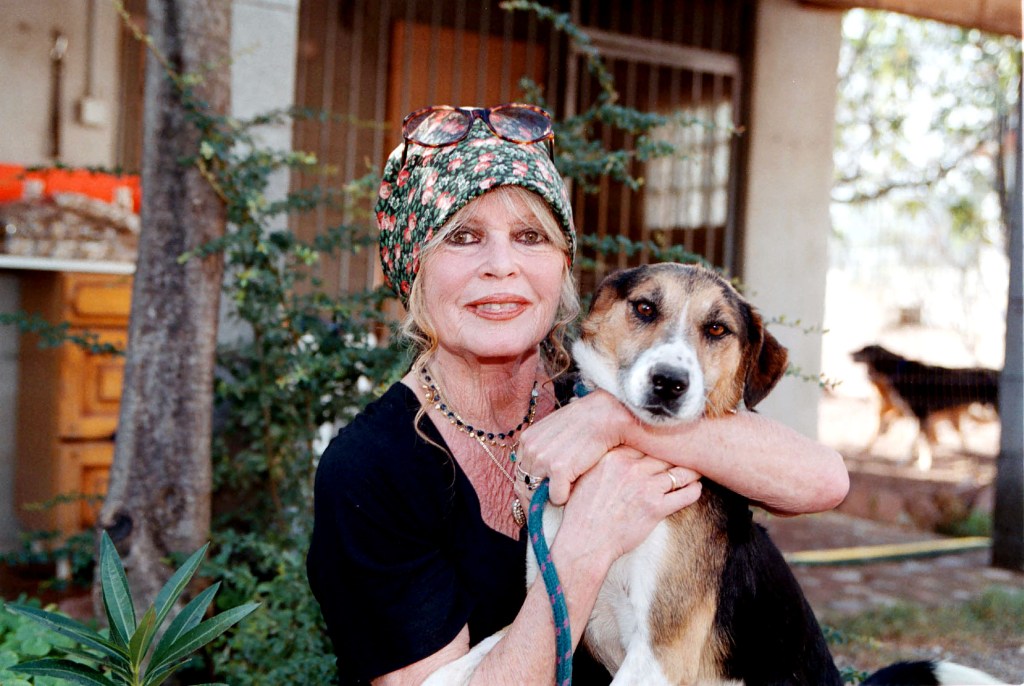 1960s Sex Symbol Turned Animal Activist Was 91 1960s Sex Symbol Turned Animal Activist Was 91