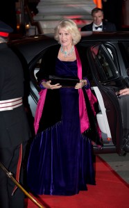 LONDON, ENGLAND - DECEMBER 06:  Camilla, Duchess of Cornwall arrives at the Sun Military Awards at the Imperial War Museum on December 6, 2012 in London, England.  (Photo by Matt Dunham - WPA Pool /Getty Images)