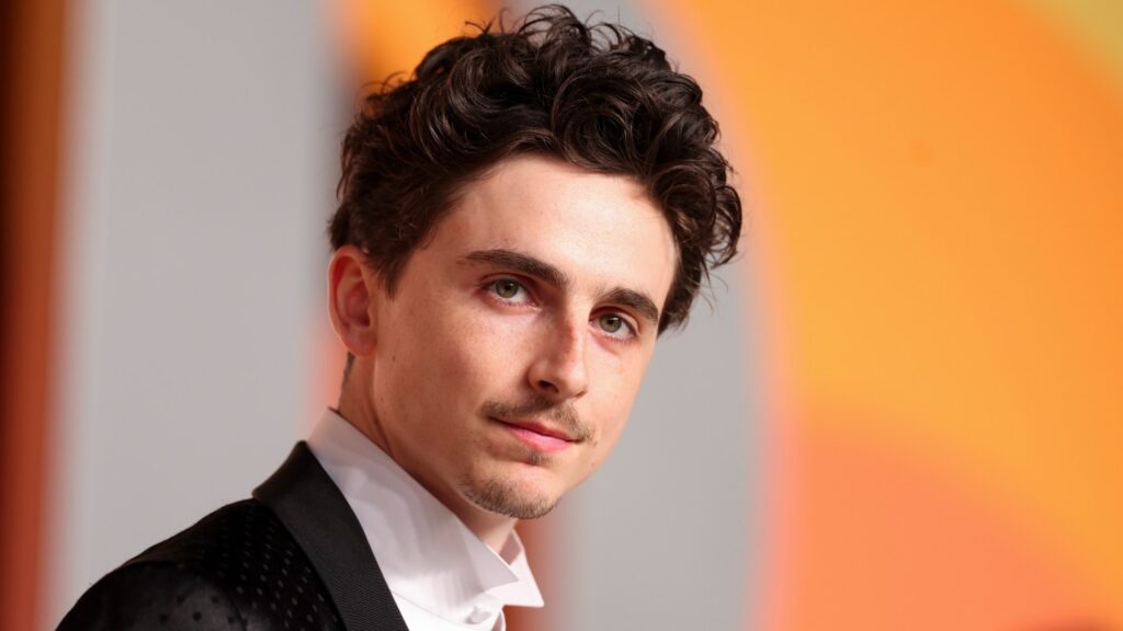 Timothée Chalamet Dances to Soulja Boy's Crank That, Wears Brazil Flag