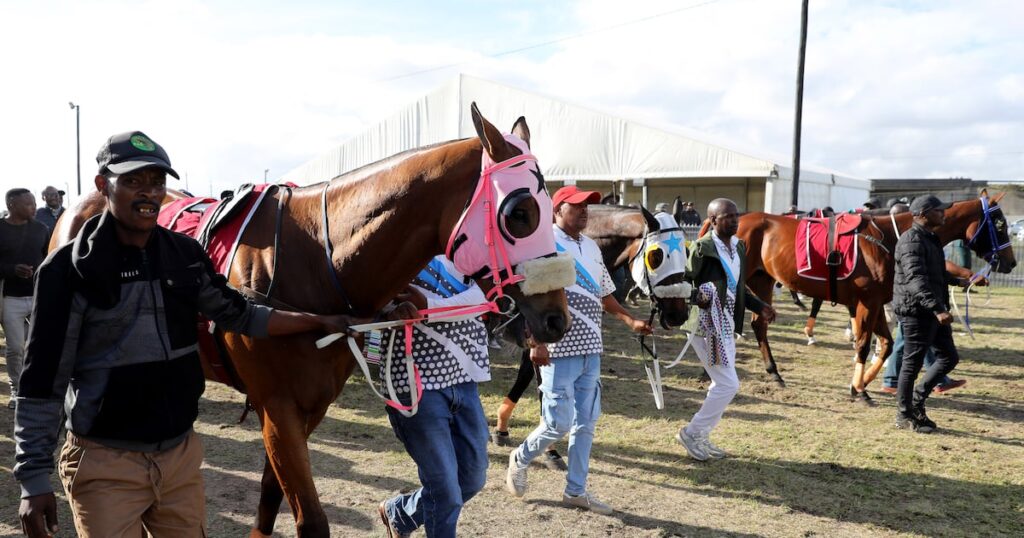 Celebrities join glitz and glamour of Berlin November