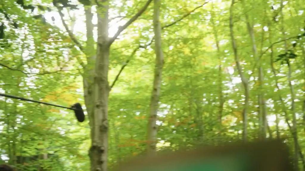 Woman walking dog stumbles upon Prince William and Jill Scott filming in Remembrance Park