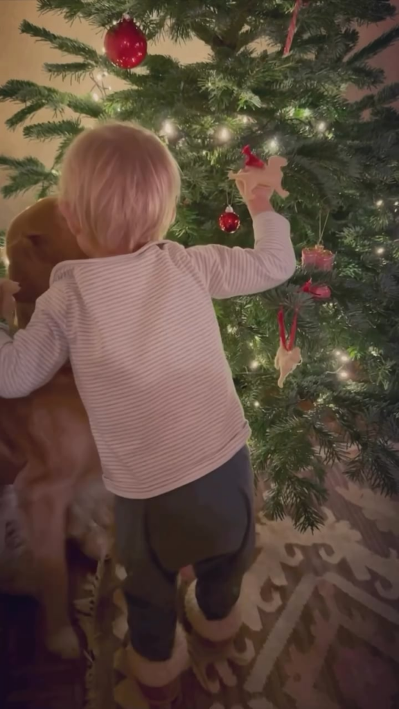 James Middleton shares adorable video of son Inigo decorating Christmas tree: ‘he insisted on introducing every ornament to the dogs first, complete with a kiss or a cuddle’💔