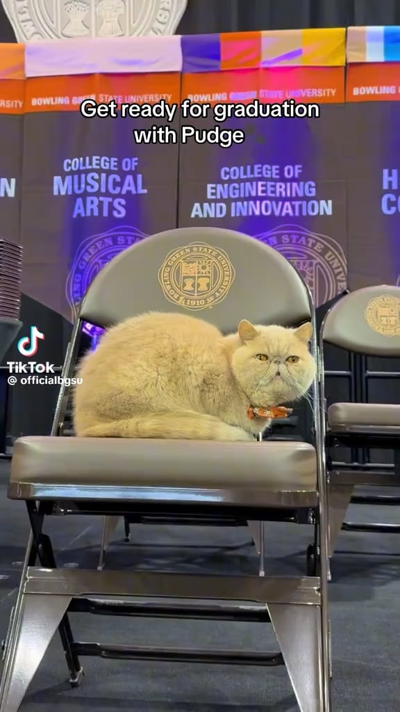 Pudge the cat has graduated Bowling Green. Pudge found viral internet fame when his owner long snapper George Carlson brought him to the football locker room to boost morale