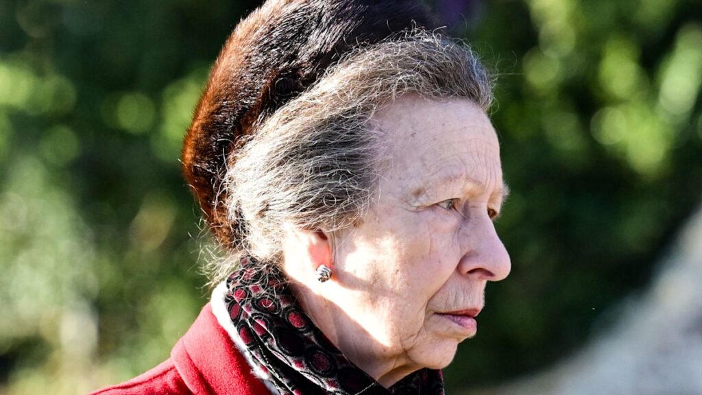 Princess Anne shines in fringed knee-high boots following display of ‘unity’ at royal Christmas Princess Anne shines in fringed knee-high boots following display of 'unity' at royal Christmas