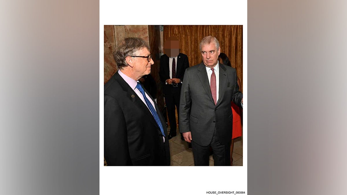 Bill Gates and Andrew Mountbatten-Windsor at a Malaria summit in April 2018.
