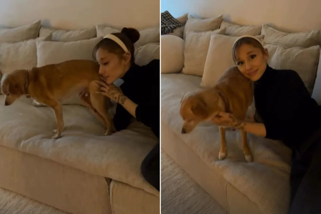 Ethan Slater Shares Personal Photos of Ariana Grande: ‘Very Merry Holidays’ Ethan Slater Shares Personal Photos of Ariana Grande: 'Very Merry Holidays'