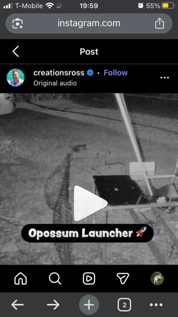 Ross Creations launched an opossum like 50ft in the air in this video that is STILL UP on their instagram