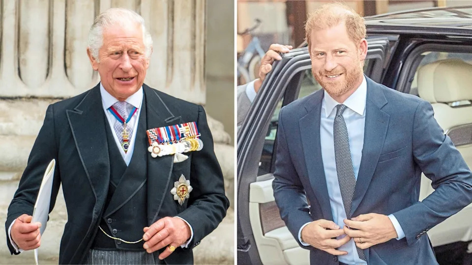  <span class="wp-caption-text">MEGA</span>