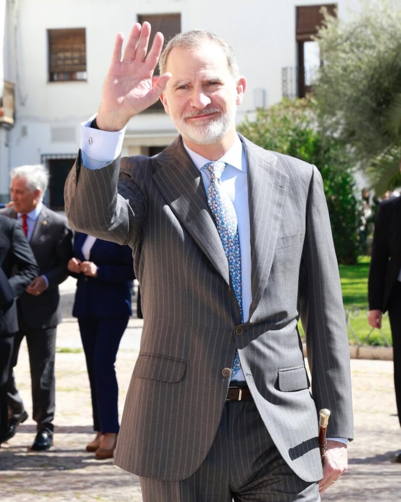 Spanish Royal Family: Images of H.M. the King throughout this year.