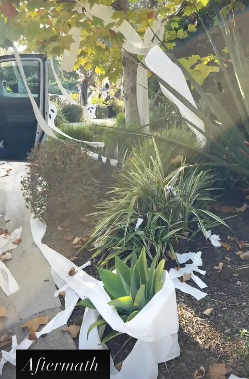 The glimpse into her expansive abode comes after she revealed a trickster pranked her by covering her California home in toilet paper. <span class="image-credit">(christinahaack/Instagram)</span>