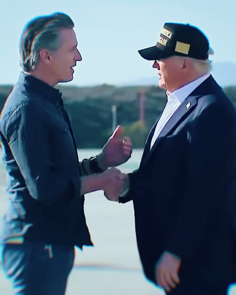 Gavin Newsom uses Megan Thee Stallion's HISS for new TikTok about Donald Trump