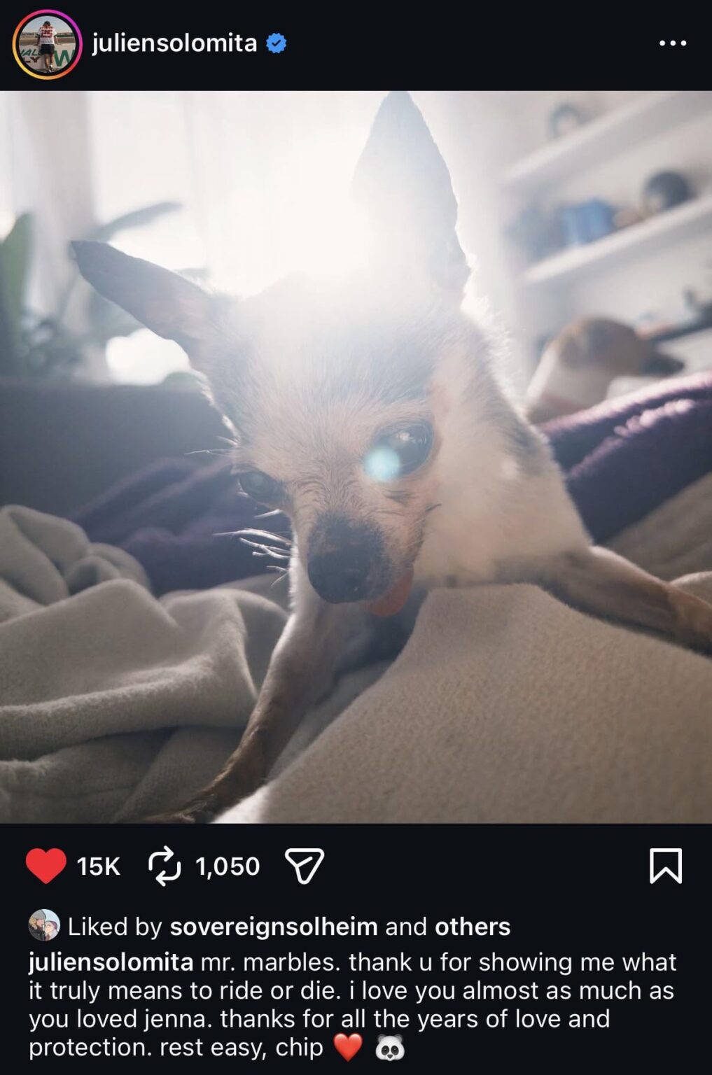 Marbles, of Jenna Marbles and Julien Solomita, has passed away at age 17.