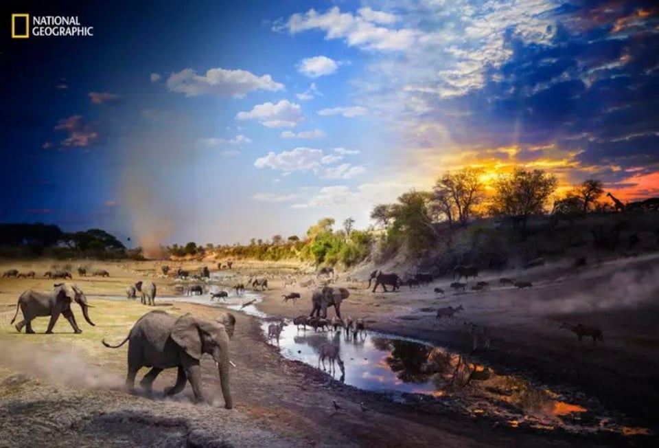 National Geographic unveiled its Pictures of the Year