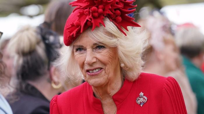 Royal family issues update on Queen Camilla's beloved partner: 'Busy year'
