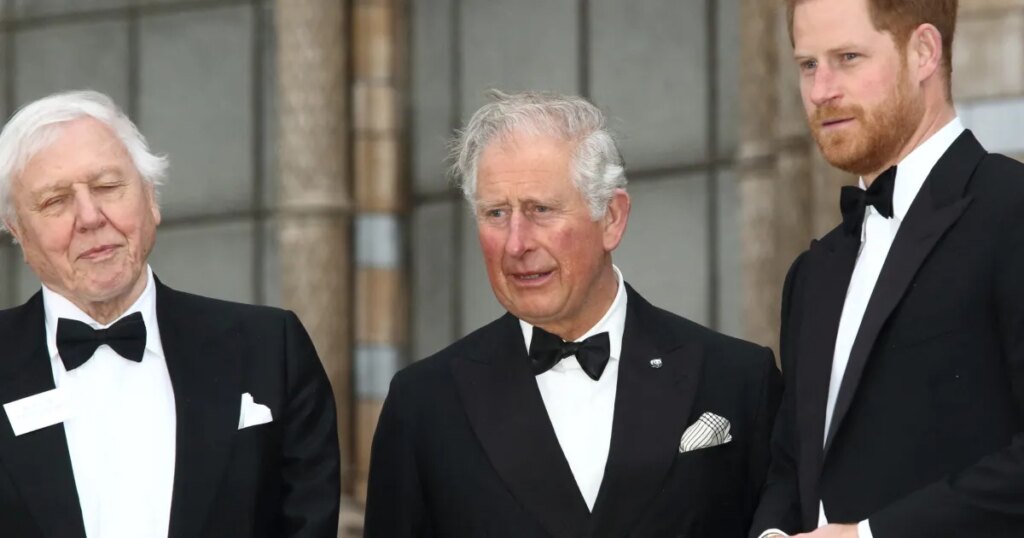 King Charles Is Sad Over Prince Harry & William's Fall Out | Gallery
