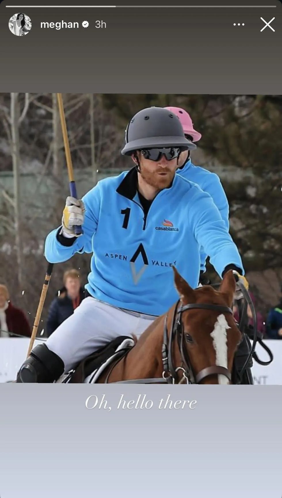 polo player on a horse at an outdoor event