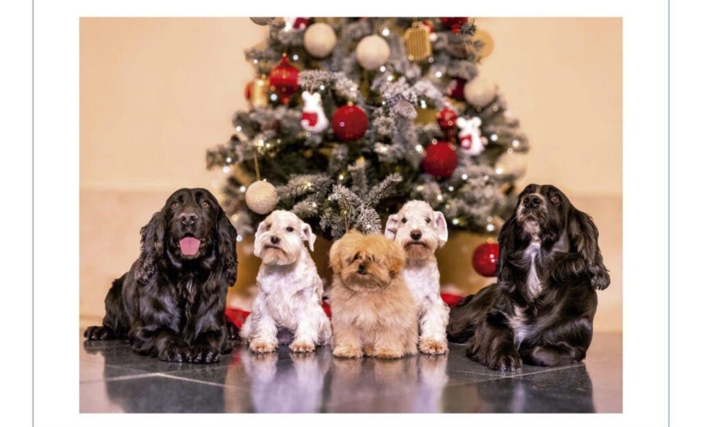 Spain’s former King Juan Carlos’ 2025 Christmas card