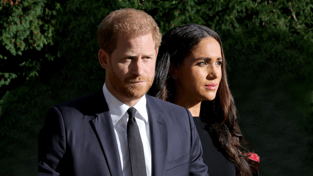 Unseen Oprah Question Explains Harry & Meghan Wanting Privacy prince harry and Meghan markle