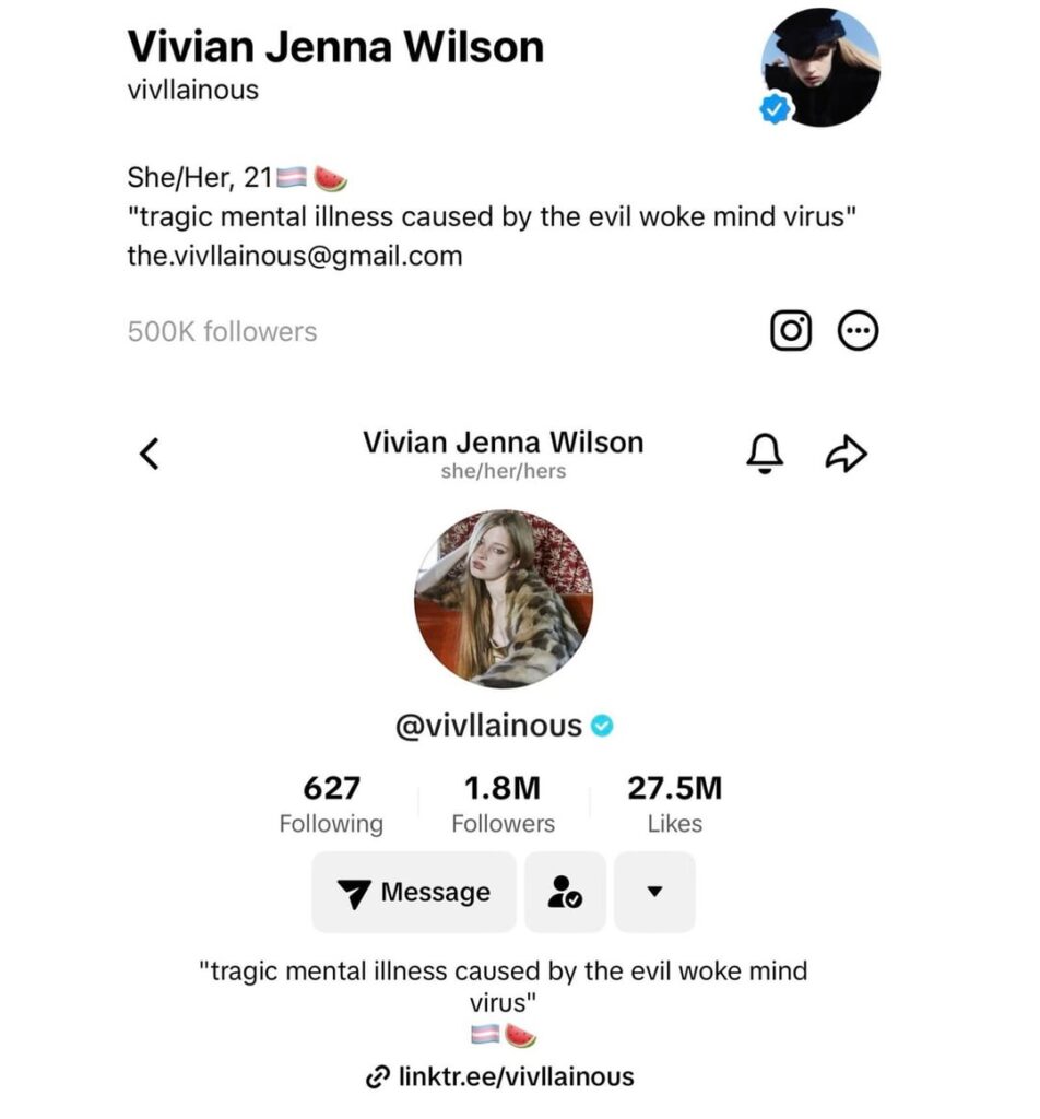 Vivian Wilson changed her social media bios in response to transphobic tweet by Elon Musk. Also commented on Ted Cruz, Gavin Newsom, Laura Loomer, that one swimmer lady, Nicki Minaj and others fighting about her transition.