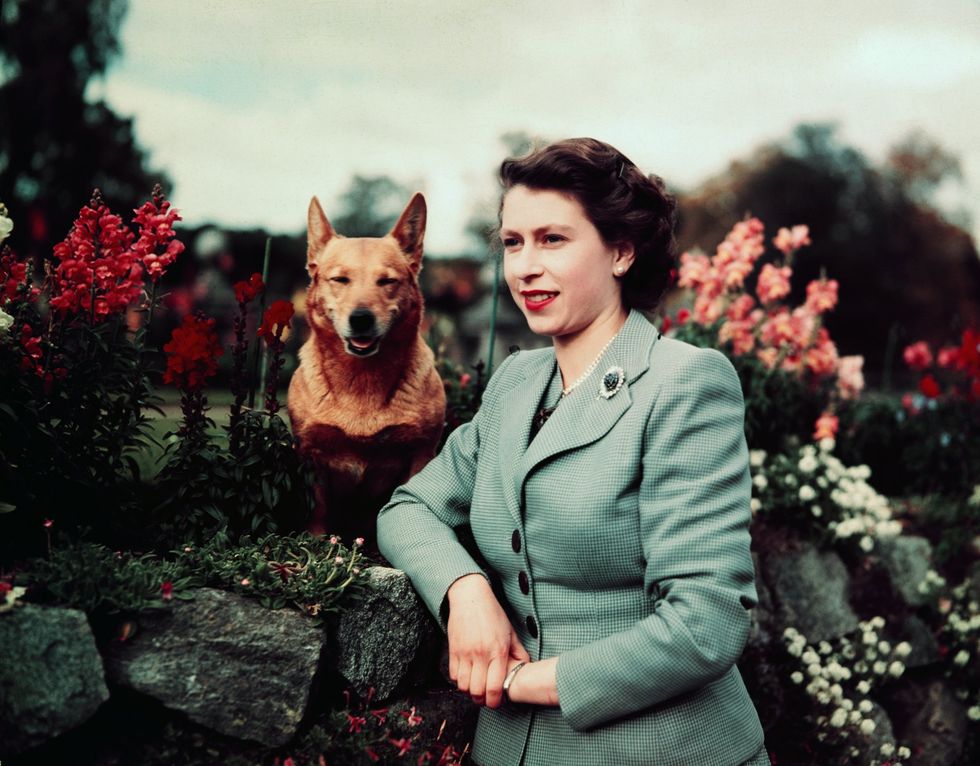Queen Elizabeth