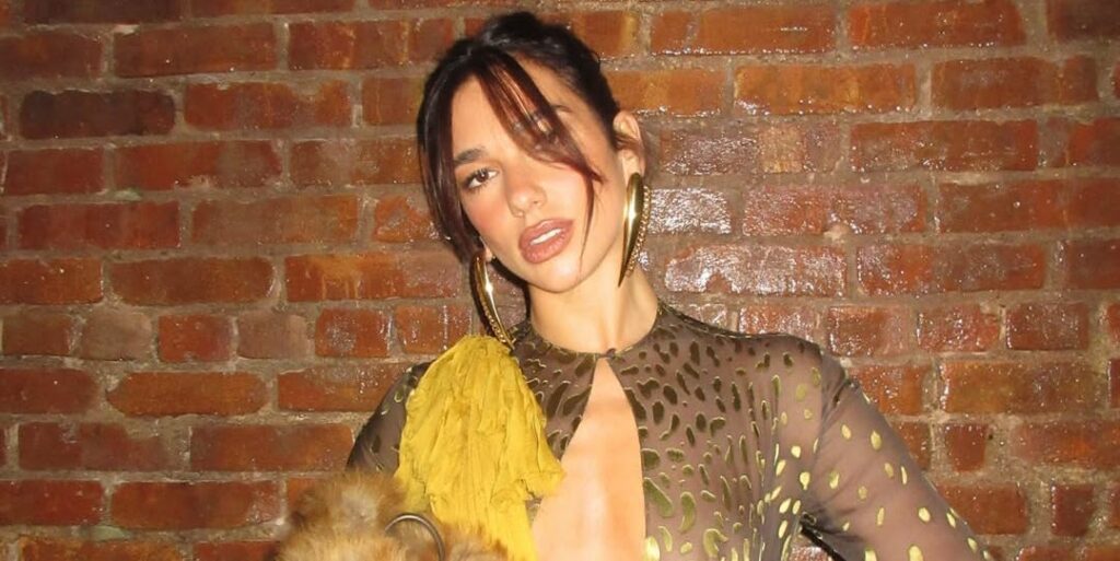 Dua Lipa Pairs a Sheer Animal-Print Set With a Fur-Trimmed Bag Dua Lipa Pairs a Sheer Animal-Print Set With a Fur-Trimmed Bag