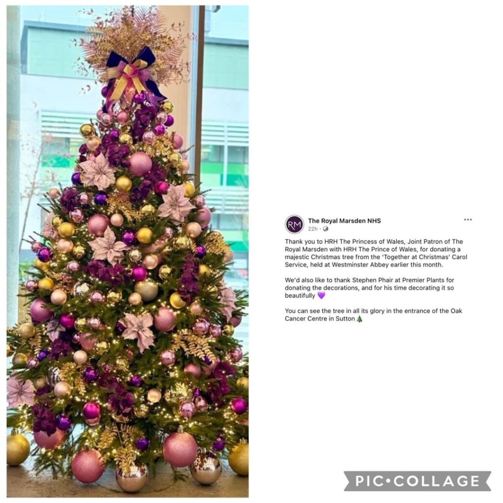 Princess of Wales donates Christmas tree from carol service to the Royal Marsden Hospital where she received cancer treatment
