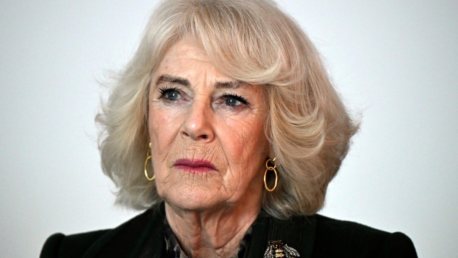 Queen Camilla recalls assault in 1960s as she campaigns against domestic violence