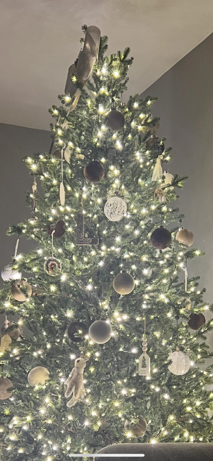 Christmas Trees and Celebrities! - Canyon News