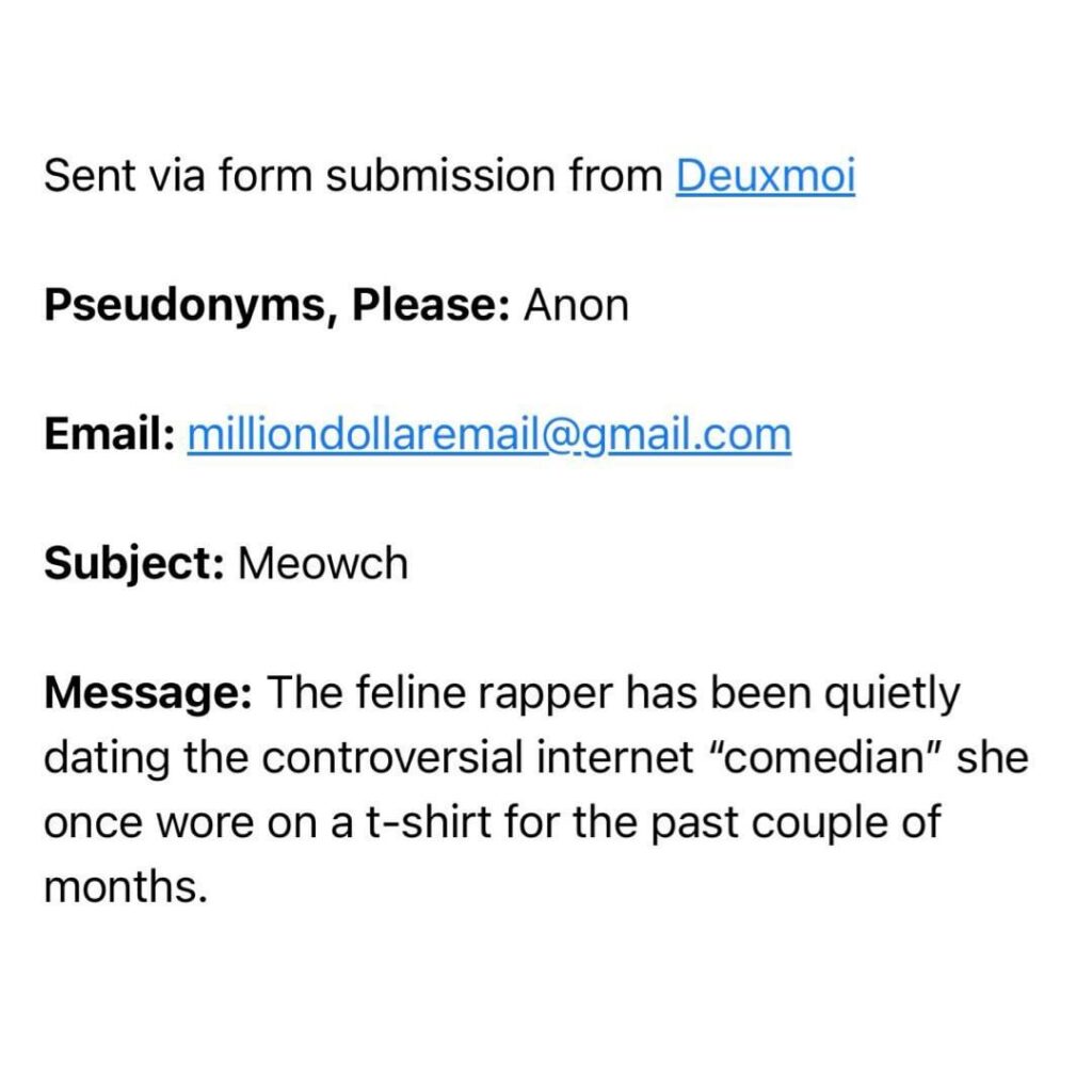 Which feline rapper is secretly dating a controversial internet comedian whose face was on a t-shirt she wore a while back?