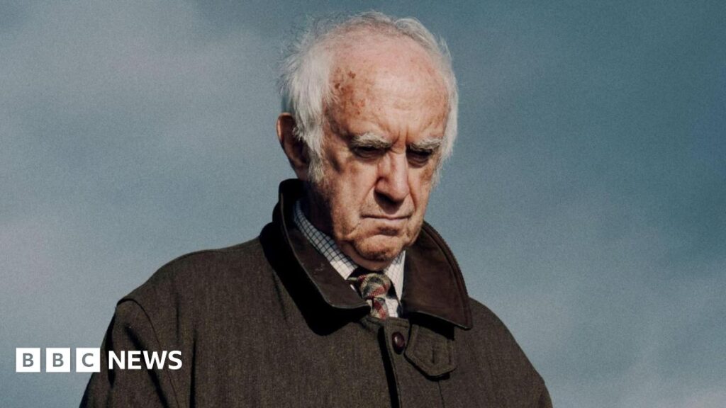 A stock illustration of Sarcoptes scabiei, the tiny mite which causes scabies