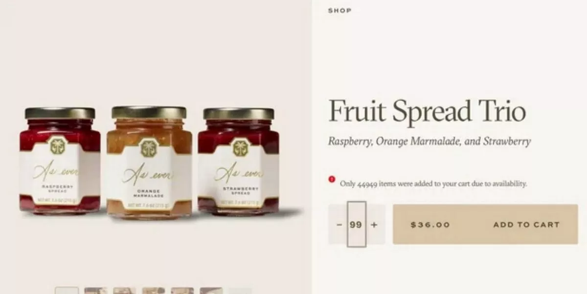 The glitch revealed the true amount of stock the website held 