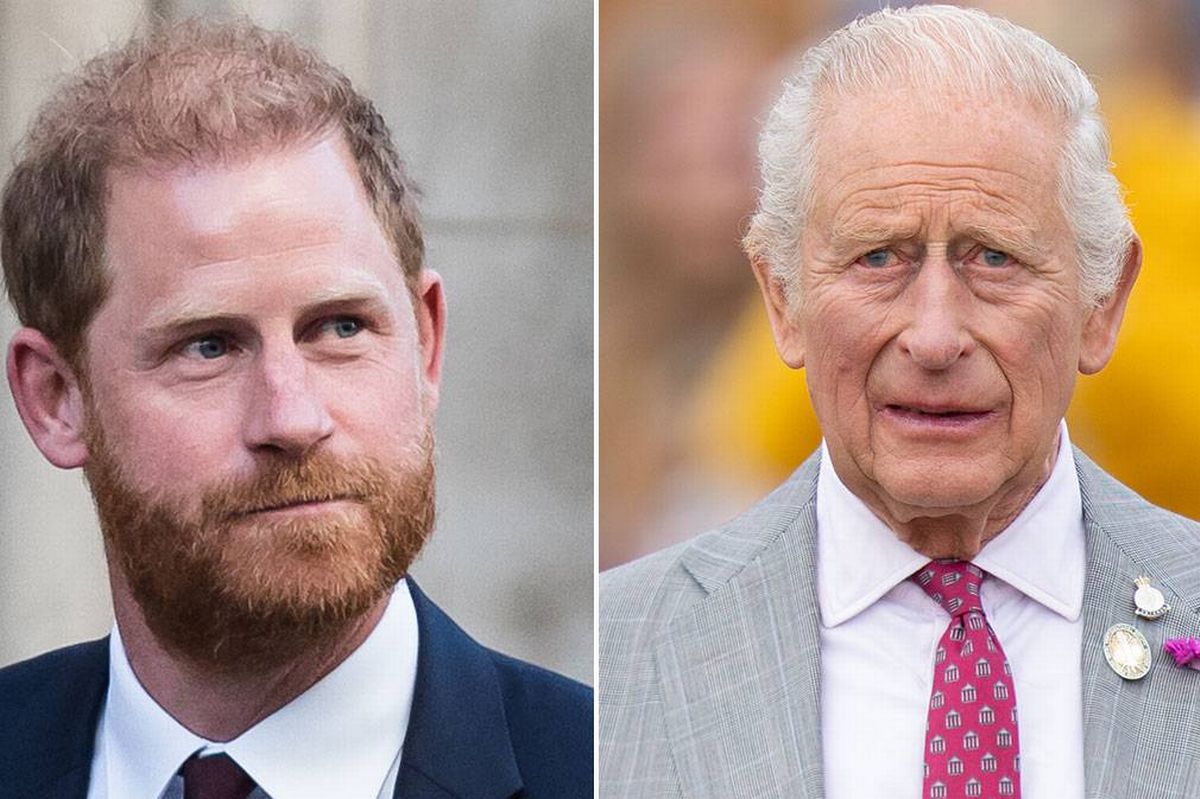 Prince Harry and King Charles