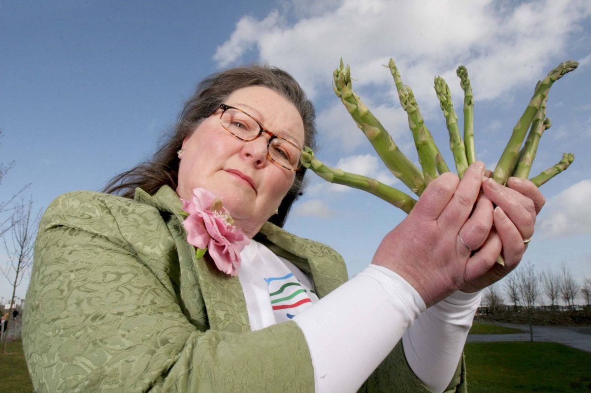 An individual dressed in a green long-sleeved garment is holding a cluster of green beans, showcasing a close-up view of the produce. The background features a cloudy sky and a grassy landscape.